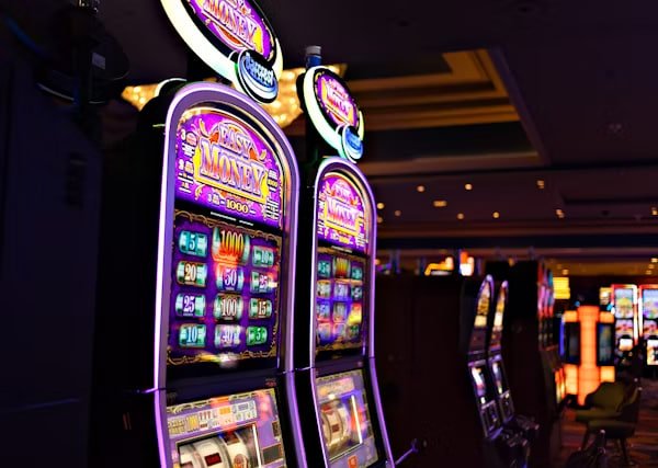 bingoplus apk